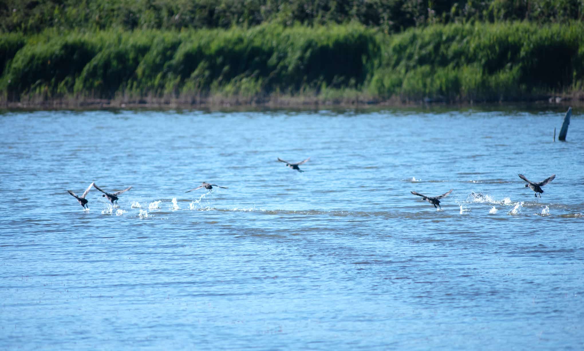 reserve naturelle régionale
